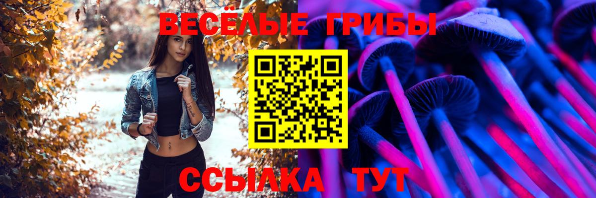 Галлюциногенные грибы ЛСД  купить   Черногорск  Вход с VPN  Галлюциногенные грибы Psilocybe 