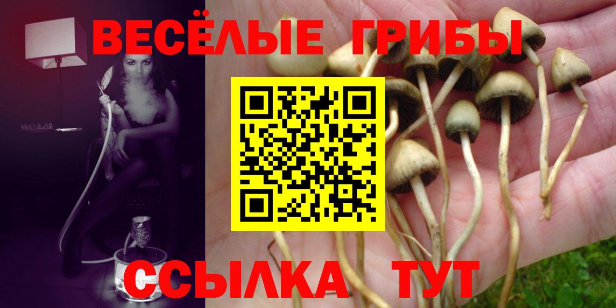 Галлюциногенные грибы GOLDEN TEACHER Черногорск
